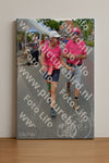 Evenement foto: Nijmeegse Vierdaagse 937