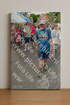 Evenement foto: Nijmeegse Vierdaagse 937