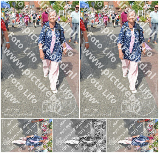 Evenement foto: Nijmeegse Vierdaagse 937