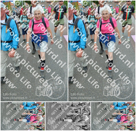 Evenement foto: Nijmeegse Vierdaagse 937