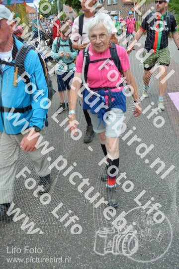 Evenement foto: Nijmeegse Vierdaagse 937