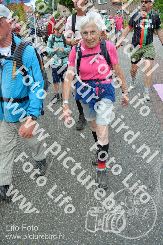 Evenement foto: Nijmeegse Vierdaagse 937