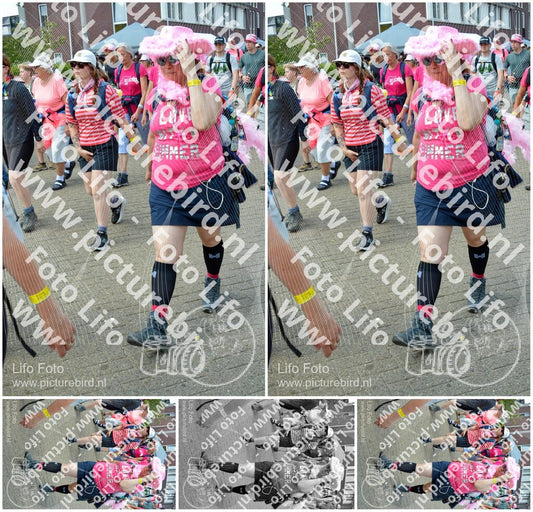 Evenement foto: Nijmeegse Vierdaagse 936