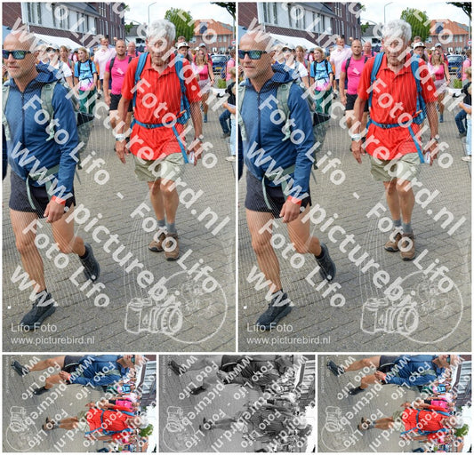 Evenement foto: Nijmeegse Vierdaagse 936