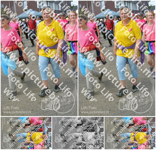 Evenement foto: Nijmeegse Vierdaagse 936