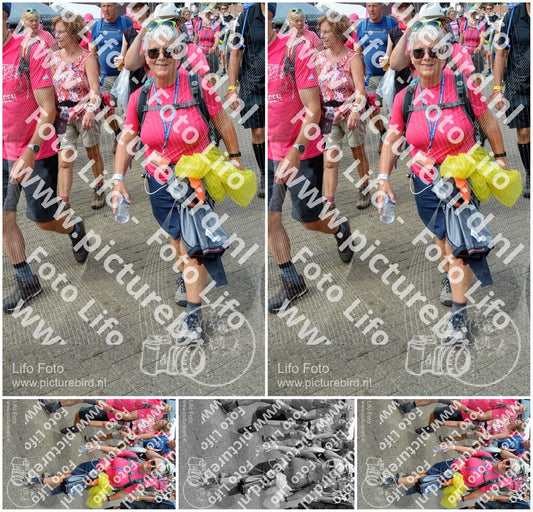 Evenement foto: Nijmeegse Vierdaagse 936