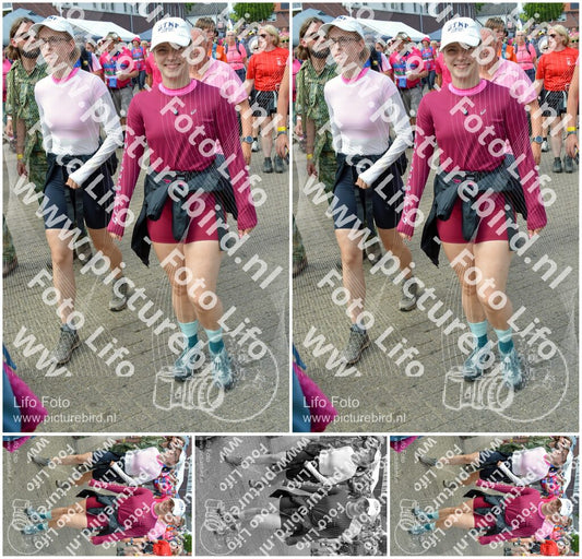 Evenement foto: Nijmeegse Vierdaagse 936