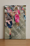 Evenement foto: Nijmeegse Vierdaagse 936