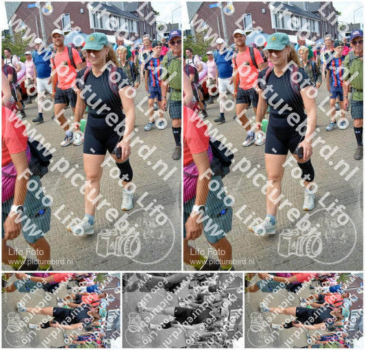 Evenement foto: Nijmeegse Vierdaagse 936
