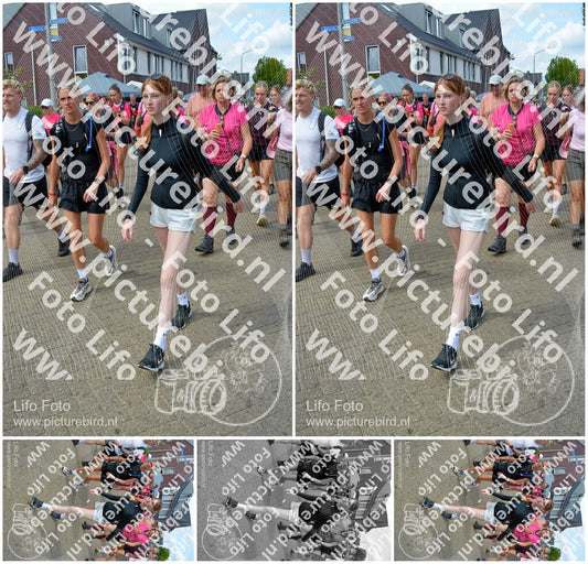 Evenement foto: Nijmeegse Vierdaagse 936