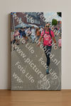 Evenement foto: Nijmeegse Vierdaagse 936