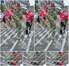 Evenement foto: Nijmeegse Vierdaagse 936