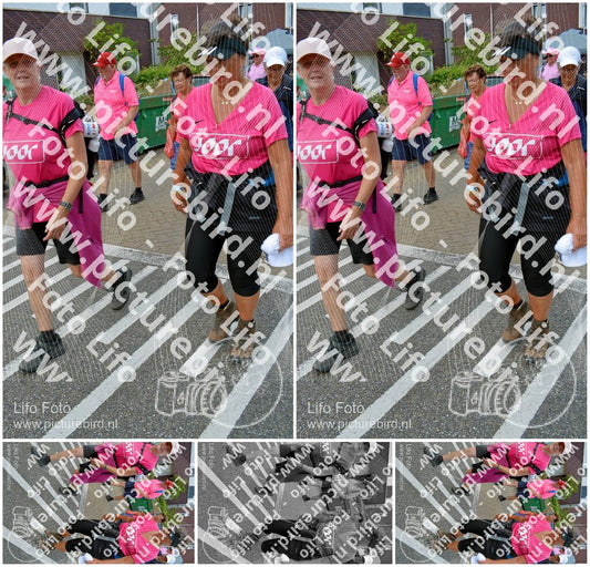 Evenement foto: Nijmeegse Vierdaagse 936