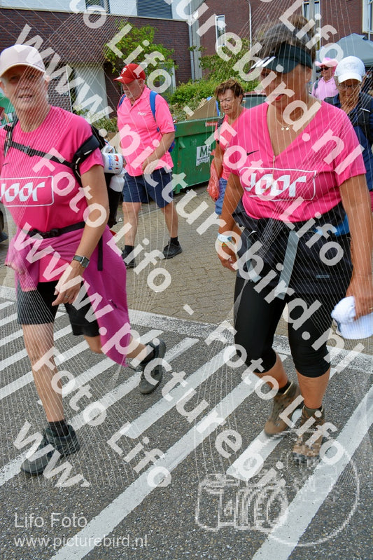 Evenement foto: Nijmeegse Vierdaagse 936