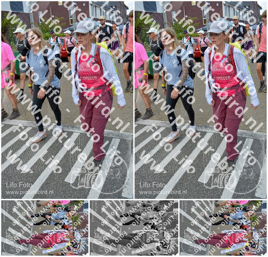 Evenement foto: Nijmeegse Vierdaagse 936