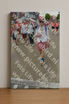Evenement foto: Nijmeegse Vierdaagse 936