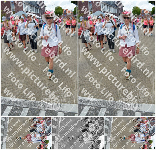 Evenement foto: Nijmeegse Vierdaagse 936