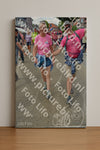 Evenement foto: Nijmeegse Vierdaagse 936