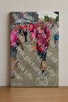 Evenement foto: Nijmeegse Vierdaagse 936