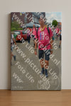 Evenement foto: Nijmeegse Vierdaagse 936