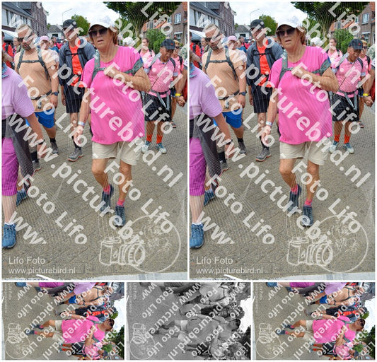 Evenement foto: Nijmeegse Vierdaagse 936