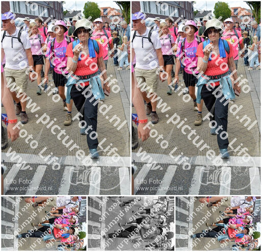 Evenement foto: Nijmeegse Vierdaagse 935