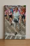 Evenement foto: Nijmeegse Vierdaagse 935