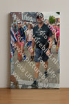 Evenement foto: Nijmeegse Vierdaagse 935