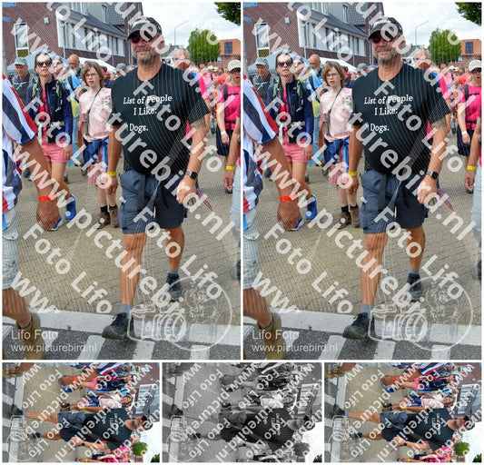 Evenement foto: Nijmeegse Vierdaagse 935