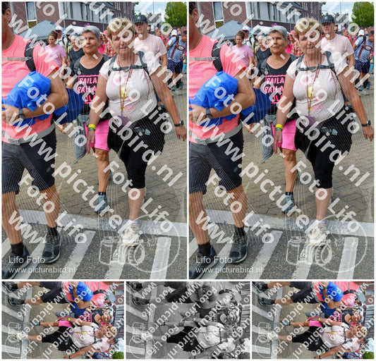 Evenement foto: Nijmeegse Vierdaagse 935