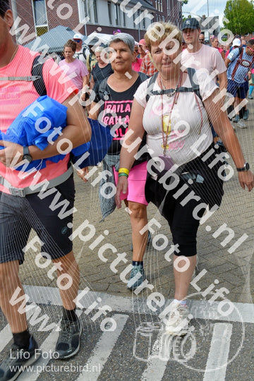 Evenement foto: Nijmeegse Vierdaagse 935