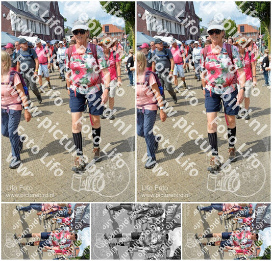 Evenement foto: Nijmeegse Vierdaagse 935
