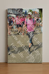 Evenement foto: Nijmeegse Vierdaagse 935