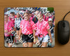 Evenement foto: Nijmeegse Vierdaagse 935