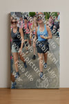 Evenement foto: Nijmeegse Vierdaagse 935