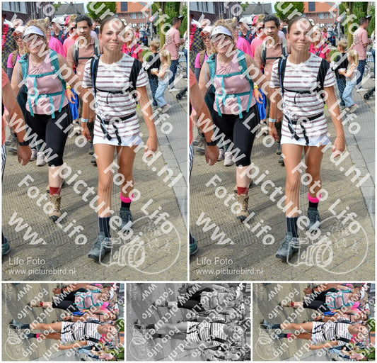 Evenement foto: Nijmeegse Vierdaagse 935