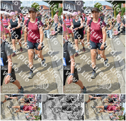 Evenement foto: Nijmeegse Vierdaagse 935