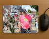 Evenement foto: Nijmeegse Vierdaagse 935