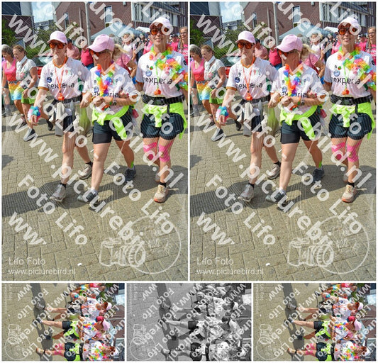 Evenement foto: Nijmeegse Vierdaagse 935