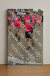 Evenement foto: Nijmeegse Vierdaagse 934