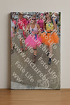 Evenement foto: Nijmeegse Vierdaagse 934