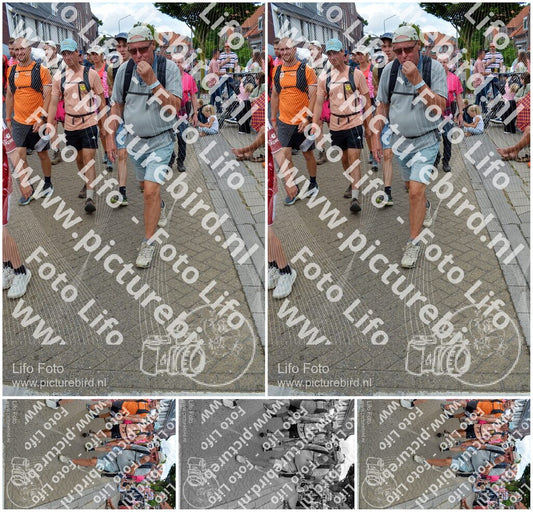 Evenement foto: Nijmeegse Vierdaagse 934