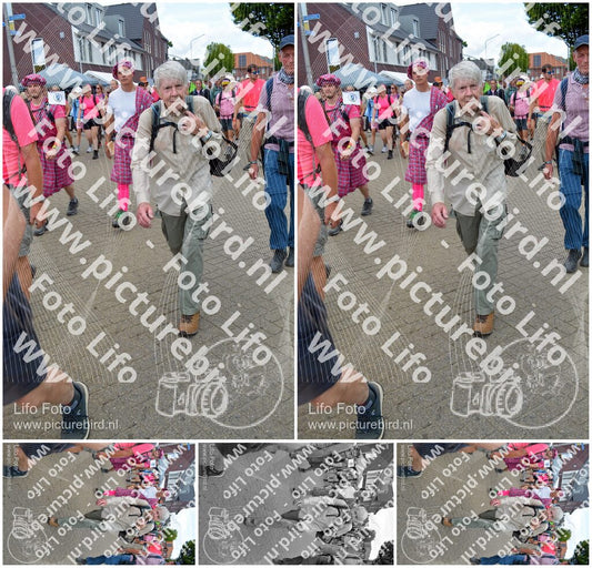 Evenement foto: Nijmeegse Vierdaagse 934