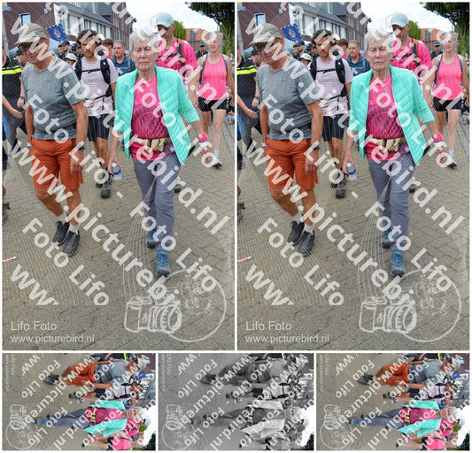 Evenement foto: Nijmeegse Vierdaagse 934