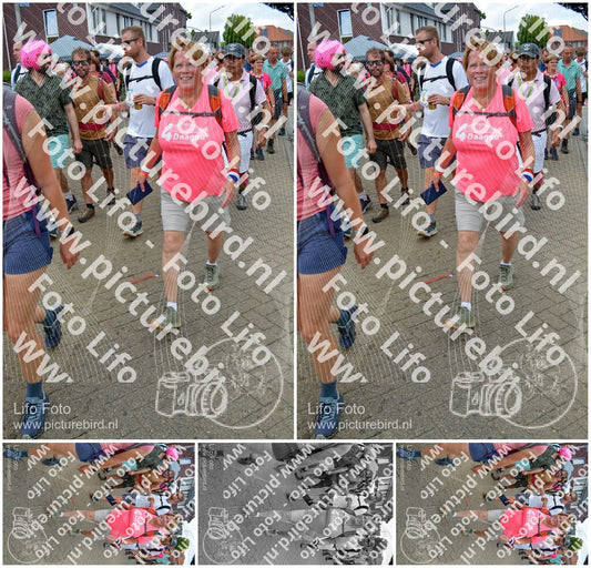 Evenement foto: Nijmeegse Vierdaagse 934