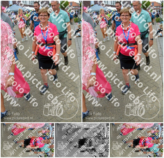 Evenement foto: Nijmeegse Vierdaagse 934