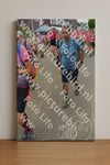 Evenement foto: Nijmeegse Vierdaagse 934