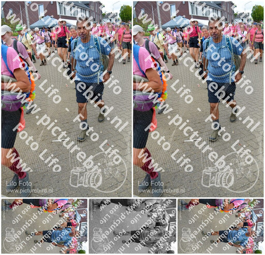 Evenement foto: Nijmeegse Vierdaagse 934