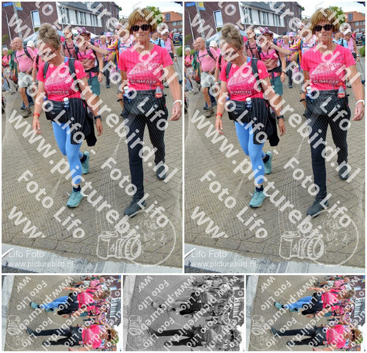 Evenement foto: Nijmeegse Vierdaagse 934