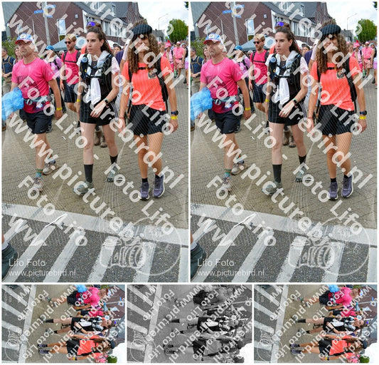 Evenement foto: Nijmeegse Vierdaagse 934